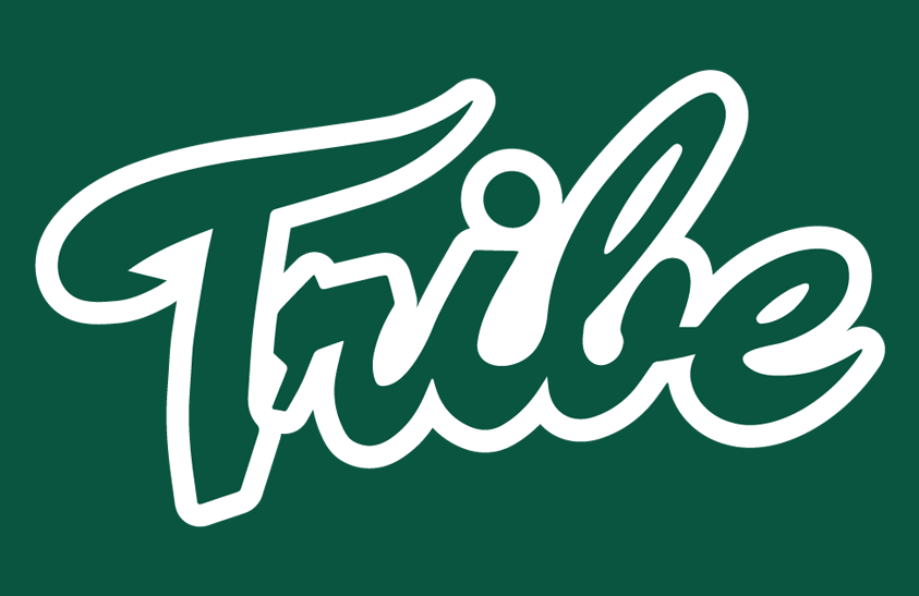 William and Mary Tribe 1986-1994 Helmet Logo diy iron on heat transfer